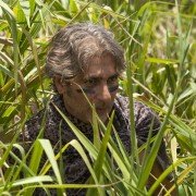 Mad Dogs - galeria zdjęć - filmweb