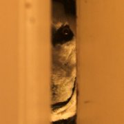Meg, deg & Frank - galeria zdjęć - filmweb