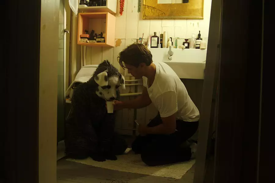 Dobry piesek! - galeria zdjęć - filmweb
