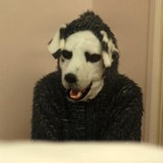 Meg, deg & Frank - galeria zdjęć - filmweb