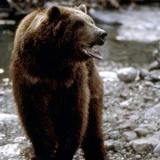 The Edge - galeria zdjęć - filmweb