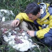 Man vs. Wild - galeria zdjęć - filmweb