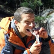 Man vs. Wild - galeria zdjęć - filmweb