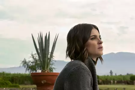 Monarca - galeria zdjęć - filmweb
