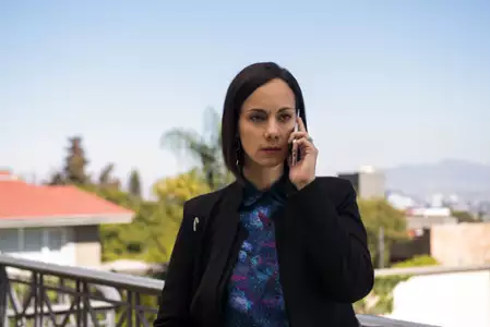 Monarca - galeria zdjęć - filmweb