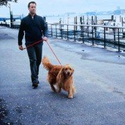 You've Got Mail - galeria zdjęć - filmweb