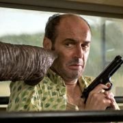 Safari - galeria zdjęć - filmweb