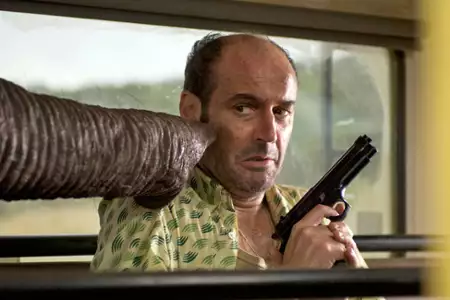 Safari - galeria zdjęć - filmweb