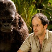 Safari - galeria zdjęć - filmweb