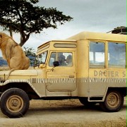 Safari - galeria zdjęć - filmweb
