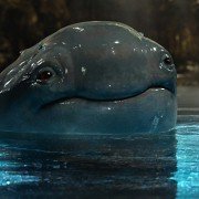 Monster Trucks - galeria zdjęć - filmweb