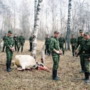 Kucharze historii - galeria zdjęć - filmweb