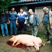 Ako sa varia dejiny - galeria zdjęć - filmweb