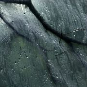 The Sound of Insects – Record of a Mummy - galeria zdjęć - filmweb