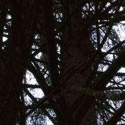 The Sound of Insects – Record of a Mummy - galeria zdjęć - filmweb
