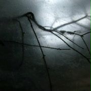 The Sound of Insects – Record of a Mummy - galeria zdjęć - filmweb