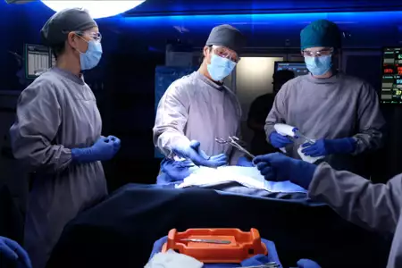 The Good Doctor - galeria zdjęć - filmweb