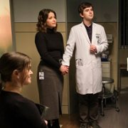 The Good Doctor - galeria zdjęć - filmweb