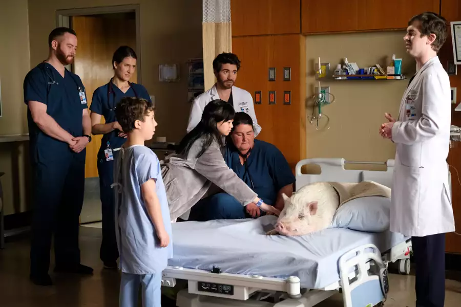The Good Doctor - galeria zdjęć - filmweb