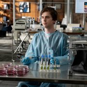 The Good Doctor - galeria zdjęć - filmweb