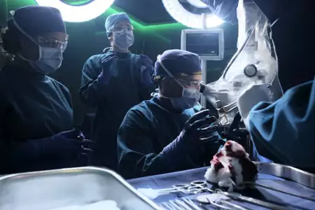The Good Doctor - galeria zdjęć - filmweb