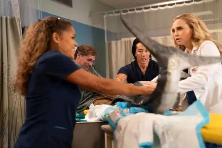 The Good Doctor - galeria zdjęć - filmweb