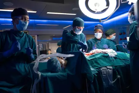 The Good Doctor - galeria zdjęć - filmweb