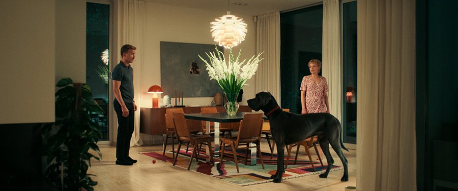 Kuzyn Ralf (recenzja filmu Paw zwyczajny)