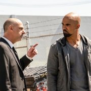 S.W.A.T. - galeria zdjęć - filmweb