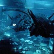 Alien: Resurrection - galeria zdjęć - filmweb