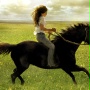 Flicka - galeria zdjęć