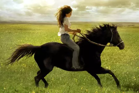 Flicka - galeria zdjęć - filmweb