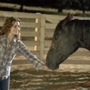 Flicka - galeria zdjęć - filmweb