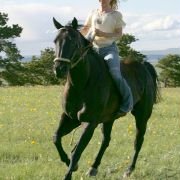 Flicka - galeria zdjęć - filmweb