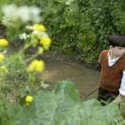 The Boy in the Striped Pyjamas - galeria zdjęć - filmweb