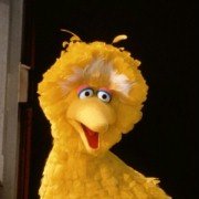 The Adventures of Elmo in Grouchland - galeria zdjęć - filmweb