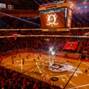 NHL 27 - galeria zdjęć - filmweb