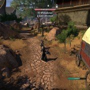 The Elder Scrolls Online: Elsweyr - galeria zdjęć - filmweb