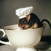 Mousehunt - galeria zdjęć - filmweb