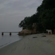 Uma ba&iacute;a - galeria zdjęć - filmweb