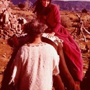 The Appaloosa - galeria zdjęć - filmweb