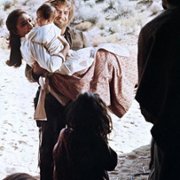The Appaloosa - galeria zdjęć - filmweb