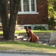 Slasher - galeria zdjęć - filmweb