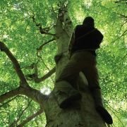Bal - galeria zdjęć - filmweb
