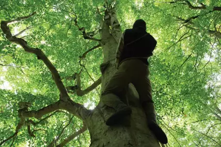 Miód - galeria zdjęć - filmweb