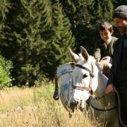 Miód - galeria zdjęć - filmweb
