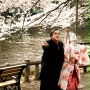 Hanami - Kwiat wiśni - galeria zdjęć