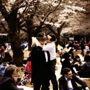 Kirschblüten - Hanami - galeria zdjęć - filmweb