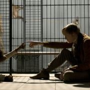 Creation - galeria zdjęć - filmweb
