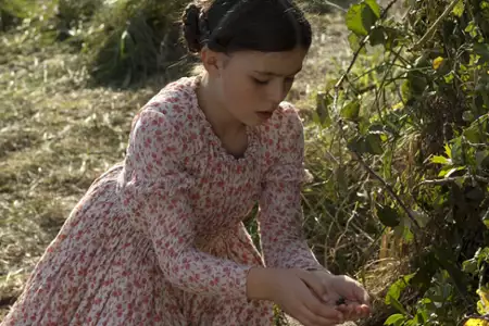 Darwin. Miłość i ewolucja - galeria zdjęć - filmweb